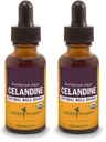 Herbm Pharm Sertifikalı Organik Celandine Sıvısı - 1 Ounce (Pack of 2)