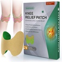 Diz Pain Relief Patch 24 Count - Igwort, Capsaicin & Menthol - 12 Hour Long Lasting Diz Support for Bone on Bone, Joint Pain, Kas Soreness