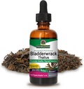 Nature's Answer Bladderwrack Sea Moss Liquid 2 oz | Tiroid Desteği | Digestive Health | Immune Support