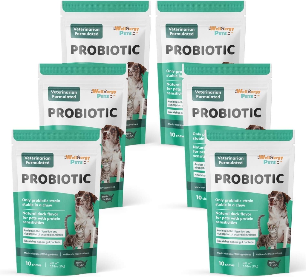 Wellnergy Daily Probiotic & Prebiotics Soft Chew for Dogs & Cats - Digestive Support for Diarrhea, Constipation, Upset Stomach, Indigestion & Gas - Helps Digestion, Allergy Skin & Immune Health 60ct