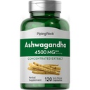 Piping Rock Ashwagandha Capsules | 120 Kont | Herbal Supplement with Black Pepper Extract | for Women and Men | Non-GMO, Gluten Free Free