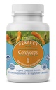 Mükemmel Supplements – Perfect Cordyceps – 90 Sebze Kapsülleri – Organik Adaptojen Herbal Supplement – Enerjiyi, Endurance & Strength