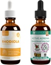 Rejuvica Health Active Rhodiola + Active Adrenal - Destek Enerji + Stres - Daha İyi Absorpsiyon için Sıvı Teslimat - Rhodiola, Ashwagandha, Holy Basil & More!