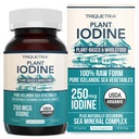 Deniz Sebze Kompleksinden Organik Iodine Supplement, Tüm Gıda ve Raw Form - Iodine Plus Trace Mineral Kompleksi - Contains Purest İzlanda Denizi Kelp, Moss & Bladderwrack (250 mcg)