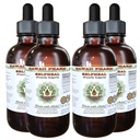Selfheal alkol-Free Liquid Extract, Organic Selfheal (Prunella Vulgaris) herb Glycerite Natural Herbal Supplement, Hawaii Pharm, USA 4x4 fl.oz