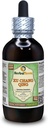 Xu Chang Qing, Paniculate Swallowwort (Cynanchum Paniculatum) Glycerite, kıl Kök Alkol Özgür Sıvı Tür (Brand Name: HerbalTerra, Proudly Made in USA) 4 fl.oz (120 ml)