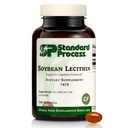 Standart Süreç Soybean Lecithin - Beyin Sağlığı Desteği Tamamı - Temel Fatty Asits ile Genbean Lecithin - 240 Softgels