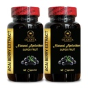 ACAI Berry Ekstraksiyon - acai Berry Supplement Fertness, Açaí Berry (Euterpe oleracea) Pills, Antioksi-Rich Organik, Fiber Pills - 2 Şişe 120 Capsules