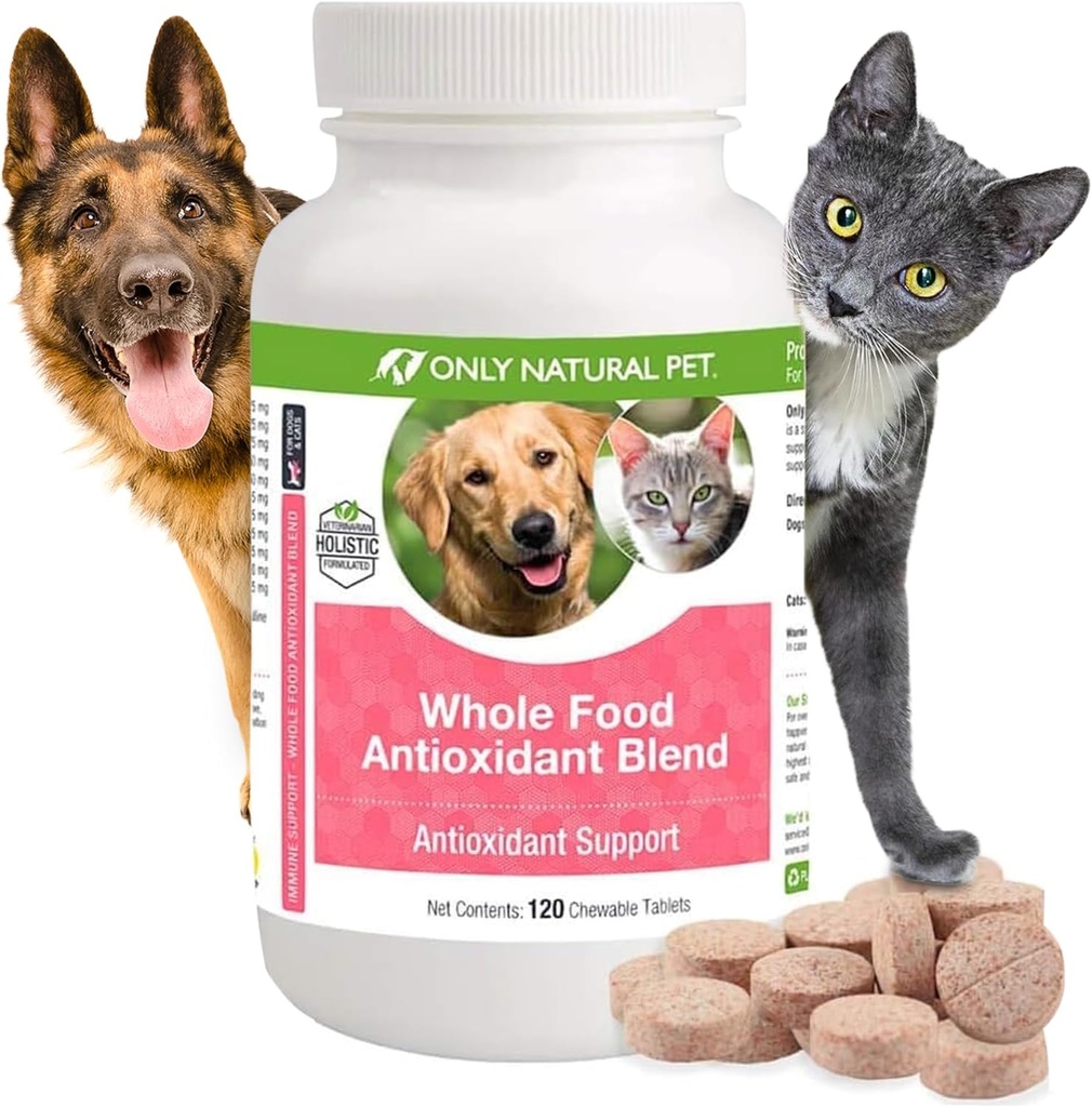 Only Natural Pet Whole Food Antioxidant Green Tea & Berry Antioxidant Vitamin Supplement Blend for Dogs, to Support A Healthy Immune System, Fight Free Radical Damage - 60 Soft Chews