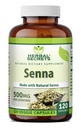 Herbal Sırları Senna Supplement | 500 Mg | 120 Veggie Capsules | Natural Senna | Non-GMO | Gluten-Free | Made in USA