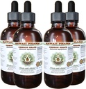 Hawaii Pharm Oregon Grape Alkol Özgür Sıvı Ekstraksiyon, Oregon Grape (Mahonia aquifolium) Kuru Kök Glycerite Natural Herbal Supplement, USA 4x4 fl.oz