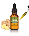Herb Pharm Ginger Liquid Extract: Organic Supplement for Digestion, Occasional Nausea Support, Fast-Absorbing Ginger Liquid, Sugar-Free Digestive Support Tincture, Up to ~3 Week Supply, 1 oz*
