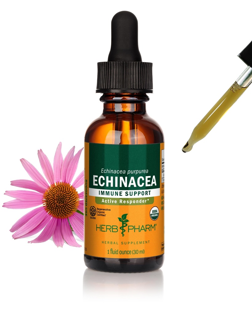 Herbm Phar Immune System Support için Organik Echinacea Root Sıvı Türlemeyi Onayladı, Organik Cane Alkol, 1 Ounce (DECH01)