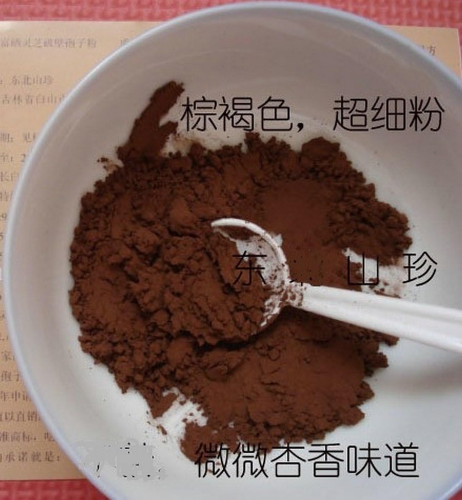 Duan-Wood 98 Shell-Broken LINGZHI Ganoderma Reishi Spore Toz 100Grams (3.5 oz.) Vakum Paketi