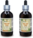Xia Ku Cao, Prunella (Prunella Vulgaris) Tincture, Organik Tray Toz Sıvı Ekstraksiyon (Brand Name: HerbalTerra, Proudly Made in USA) 2x4 fl.oz (2x120 ml)