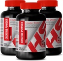 Erkekler için Body Builder - CREATINE Toz 100G - Kreat Kre - 3 Şişe (Powder)