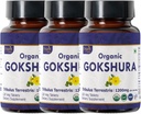 Gokshura 120 Tablets | Tribulus Terrestris (Gokshura) | USDA Organic Certified | Supports Immunity and Strength | Organic and Natural 120tab - Pack of 3