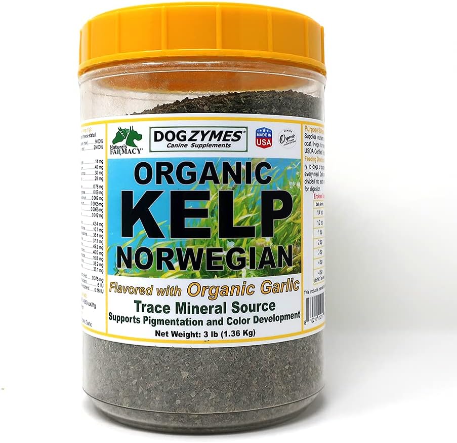Dogzymes Organik Norveç Kelp Garlic (3 Pound) ile Geliştirildi
