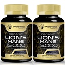 Lions Mane Supplement Capsules - 120 Kont - Mushroom Supplement, Beyin Supplements for Memory and Focus, Lion's Mane Mushroom Capsules - Cognitive & Immune Support, Focus Supplement - 2 Pack