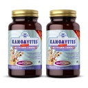 Solgar Kangavites, Bouncin' Berry Flavor - 120 Chewable Tabletler, 2 Paket - Çocuklar için Çokvitamin & Mineral Formula - Vegan, Gluten Free