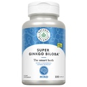 Doğal Denge Super Ginkgo Biloba Plus | Brain & Circulation Formula to Help Focus, Memory & Blood Flow | with Gotu Kola | 100ct, 50 Serv.