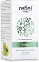 Rebel Herbs Amla Capsules (Amalaki) - Immune Support, Vegan, Gluten-Free, Ayurvedic, Antioksi, Sertifikalı Organik Amla Capsules
