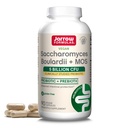 Jarrow Formulas Saccharomyces Boulardii + MOS Probiyotiks for Digestive Health and Intestinal Tract Support - 5 Milyar CFU Per Servis - 90 Gecikmiş Yayın Caps - Probiyotik + Prebiyotik - 90 Servisler