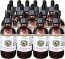 HawaiiPharm Zeytin (Olea europaea) Organik kuru Leaf Doğal Alkol Ücretsiz Sıvı Ekstraksiyon, Pet Herbal Supplement 15x4 oz