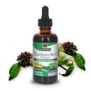 Doğanın Yanıtı Alkol Özgür Eleuthero Root, 2Fluid Ounces | Vegan | Hiçbir Preservatives Gluten Free Eleuthero Tür