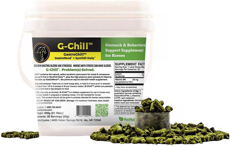 G-Chill All-Natural Digestive Health Support for Horses - 30 servings - Promotes Stomach & Hindgut Health, Aids in Gastric Ulcer Relief, Enhances Collagen & Fibronectin Production for Tissue Repair