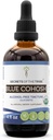 Tribe Blue Cohosh Alkol-Free Tincture (Glycerite) 659 mg Kıyıtılmış USDA Organik Blue Cohosh (Caulophyllum Thalictroides) kuru Kök (4 Fl Oz) Kadın Sağlığı Supplement
