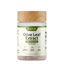 Snap Supplements Olive Leaf Extract Capsules - Super Strength% 40 Kan Akış Desteği için Ol Europein, Digestion, Antioxy Boost Supplement, improve Brain Function (60 Capsules)