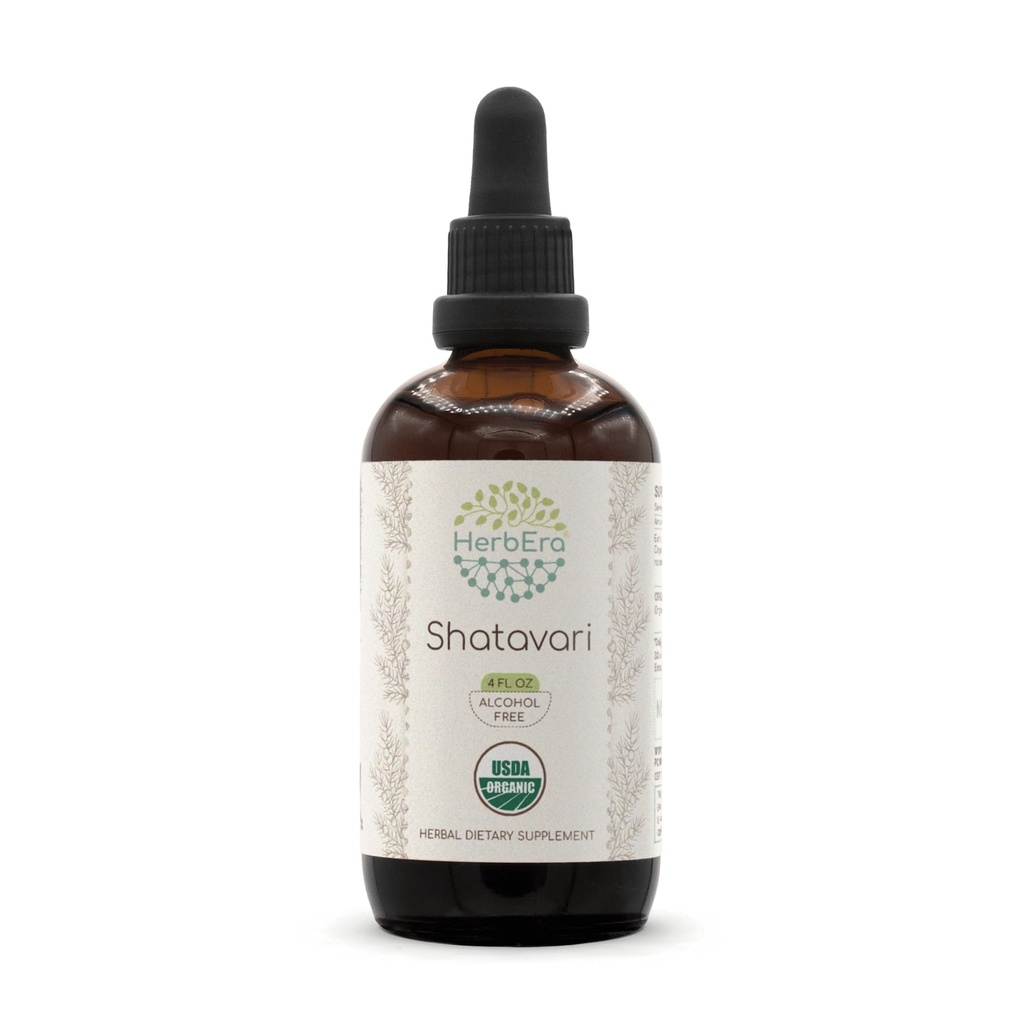 HerbEra Shatavari B120 USDA Organik Tincture | Alkol Özgür Tür, Yüksek Lisans Herbal Drops | Sertifikalı Organik Shatavari (Asparagus yarışmosus) kuru Kök (4 oz)