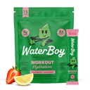 Waterboy Workout Hydration | 2,960mg Sugar Free Electrolyte Toz Paketleri | L-Glutamine + Vitaminler | No Sugar, All Natural, Gluten Free | 15 Iklim Mixes (Strawberry Lemonade)