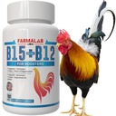 Farmalab B12 B15 için Roosters B15 B12 para Gallos 100 Tablet