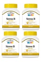 21. Yüzyıl Stres B W/Zinc 66 Kont (4 Pack)