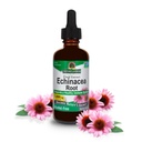 ature's Answer Echinacea Extract | Supports a Healthy Immune System | Vegan, Gluten-Free, Alcohol-Free, Non-GMO & Kosher Certified | 1oz