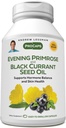 ANDREW LESSMAN Evening Primrose and Black Currant Seed Oil 360 Softgels - Soothes Physical Discomfort and Mood Swings Due to Menstrual Cycle, with Gamma-Linolenic, Omega-6 Fatty Acids, No Additives