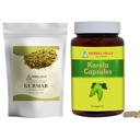 HERBAL HILLS Gurmar Tea Toz ve Karela Capsules 2 Combo