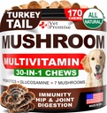 Turkey Tail Mushroom for Dogs - 170 Chews - Mushroom Supplement for Dogs - Lions Mane - Reishi - Immunity Support Multivitamin Vitamins - Joint Health - Energy - Gut - Skin - Made in USA