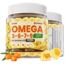 Omega 3-6-7-9 Gummies, Organic Sea Buckthorn Oil 1200MG & Flaxseed Oil 500MG, Vegan Omega 7 Supplement w/Vitamin A, C, E, Fatty Acids, No Fish Taste, Supports Skin, Eye, Immune, Brain Health, 60 Cts
