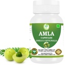 Amla Capsules 500mg – Organic Indian Gooseberry Extract | Natural Vitamin C & Antioxidant | Supports Immunity, Digestion, Skin & Hair Health | Vegan Herbal Supplement (Pack of 1)