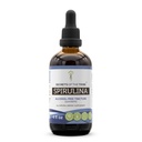 Secrets of the Tribe Spirulina Alcohol-Free Liquid Extract, Spirulina (Arthrospira Platensis) Tincture Supplement (4 FL OZ)
