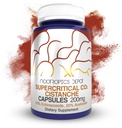 Nootropics Depot Cistanche Supercritical CO2 Extract Capsules | 20% Echinacoside + 20% Verbascoside (Acetoside) | 120 Count