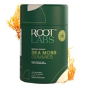 ROOT LABS Sea Moss Gummies I 92+ Minerals I Black Seed Oil I KSM 66 Ashwagandha I Lab Tested I No Added Sugar | for Men, Women I Non-GMO I 100% Natural & Organic I 1600 mg I 60 Gummy
