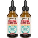 Liposomal Glutathione Liquid 2000MG – Kadınlar ve Erkekler için Antioksi Detox Supplement, Aging Defense, Liver Function & Energy, Hyaluronic Acid + Aloe Vera + Vitamin C, Natural & Vegan, 4 FL.OZ
