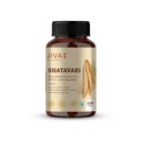 Jiva Shatavari Tablets 500gm | 100% Pure & Natural | Helps to Boost Immunity | Goodness of Shatavari, Babool, Maize & Starch | For Men & Women - 120 Tablets (Pack of 1)
