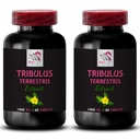 Pure Muscle Power - TRIBULUS TERRESTRIS EXTRACTS - Active Strength, Body Energy Boost, Dynamic Formula, Daily Support, Natural Power Surge, Physical Strength, Plant-Based Energy 2 Bottles 120 Tablets