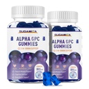 Alpha GPC Choline Gummies 600mg with Phosphatidylserine & Bacopa – 3-in-1 Brain Support for Memory, Focus & Long-Term Cognitive Health – Sugar-Free, Natural Formula, 120 Count