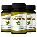 ORGANIC SPREE Gymnema 120 Tablets - Gymnema sylvestre - 60 Days Supply - Supports Metabolism & Overall Wellness* | USDA Organic, GMP, HACCP Certified - Pack of 3